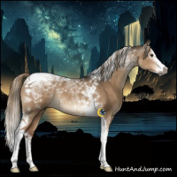 Horse Color:Gray Liver Red Dun Splash Tobiano Rabicano