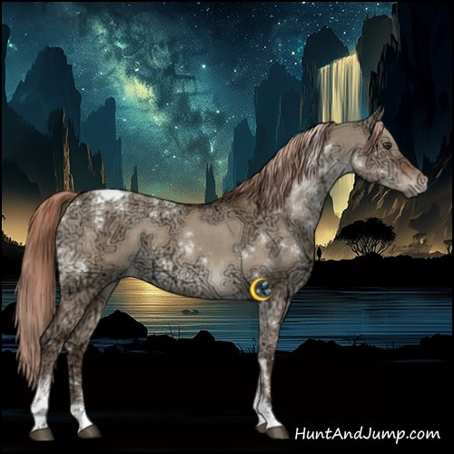 Horse Color:Liver Red Dun Ice Tobiano Rabicano 