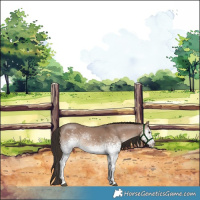 Horse Color:White Spotted Liver Red Dun Sabino Rabicano 