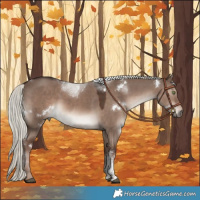 Horse Color:White Spotted Liver Red Dun Mushroom Sabino Rabicano