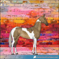 Horse Color:Silver Buckskin Dun Tobiano 