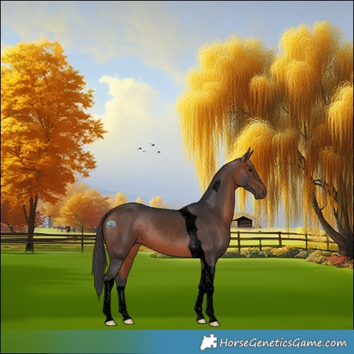 Horse Color:Void Bay Tobiano