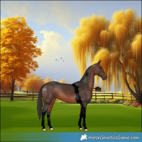 Horse Color:Void Bay Tobiano 