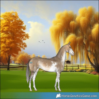 Horse Color:Buckskin Dun Sabino 