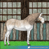 Horse Color:White Spotted Chocolate Palomino Roan Dun 