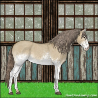 Horse Color:White Spotted Chocolate Palomino Roan Dun 
