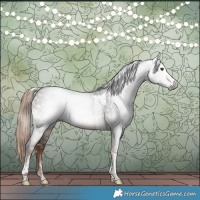 Horse Color:Gray White Spotted Liver Chestnut Tobiano 