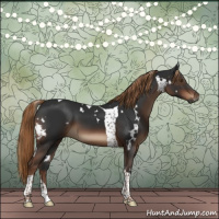 Horse Color:Gray White Spotted Liver Chestnut Tobiano 