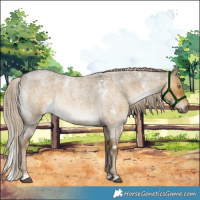 Horse Color:White Spotted Chocolate Palomino Roan Dun Mushroom