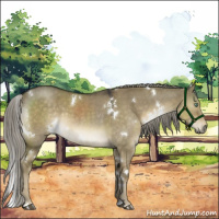 Horse Color:White Spotted Chocolate Palomino Roan Dun Mushroom