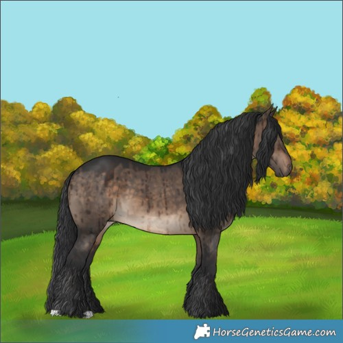 Horse Color:Brown Dun Brindle 