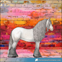 Horse Color:Bay Dun Snowcap 
