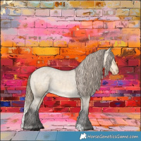 Horse Color:Buckskin Dun Appaloosa 