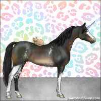 Horse Color:Gray White Spotted Brown 