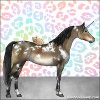 Horse Color:Gray White Spotted Brown Dun Brindle