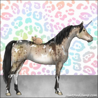 Horse Color:Gray White Spotted Brown Dun Mushroom Brindle 