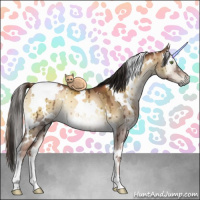 Horse Color:Gray White Spotted Liver Red Dun Pearl Onyx Brindle