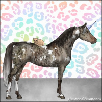 Horse Color:White Spotted Liver Red Dun Ice Brindle 
