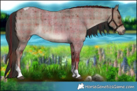 Horse Color:Plaid  Liver Red Dun Roan Tobiano 