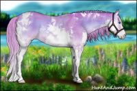 Horse Color:Watercolor Liver Red Dun Onyx Splash Tobiano Rabicano