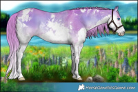 Horse Color:Watercolor Liver Red Dun Onyx Splash Tobiano Rabicano 