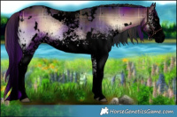 Horse Color:Void Plaid  White Spotted Liver Red Onyx 