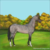 Horse Color:Brown Roan Dun Brindle 