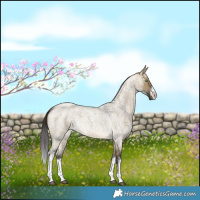 Horse Color:White Spotted Buckskin Roan Dun 