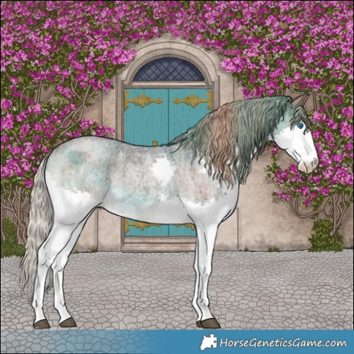 Horse Color:Liver Red Dun Roan Splash Brindle