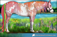 Horse Color:Painted Watercolor White Spotted Liver Red Dun Sabino 