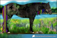 Horse Color:Void Painted Plaid  White Spotted Liver Red Dun Roan 