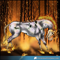 Horse Color:Painted Watercolor White Spotted Chocolate Palomino Ice Roan Dun Brindle 