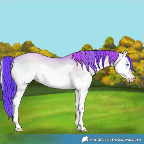 Horse Color:Watercolor Liver Red Dun Onyx Splash 