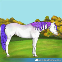 Horse Color:Watercolor Liver Red Dun Onyx Splash