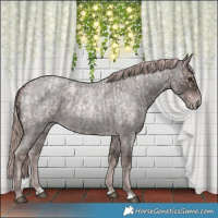 Horse Color:Platinum Blue Roan Pearl and Platinum Liver Red Roan