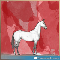Horse Color:Brown Roan Dun Near Fewspot Brindle 