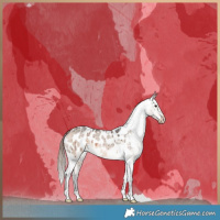 Horse Color:Brown Roan Dun Appaloosa Brindle