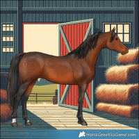 Horse Color:Brown 