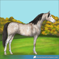 Horse Color:Sable Champagne Ice Dun Sabino Brindle