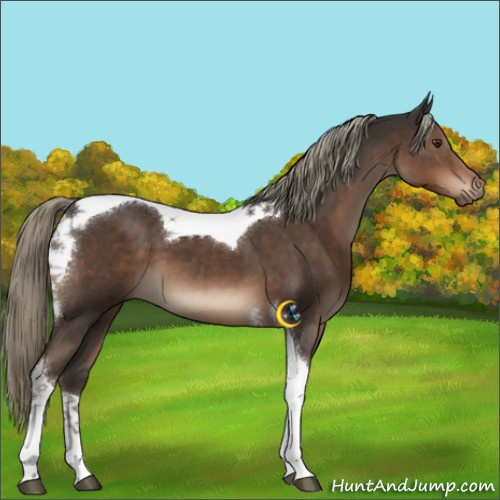 Horse Color:Liver Chestnut Mushroom Tobiano 