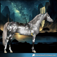 Horse Color:Gray White Spotted Midnight Liver Chestnut Ice Appaloosa