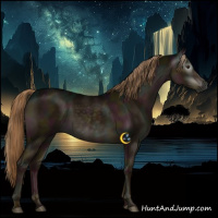 Horse Color:Gray Midnight Liver Red Dun Brindle 