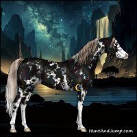 Horse Color:White Spotted Midnight Liver Red Dun Ice Splash 