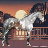 Horse Color:White Spotted Brown Mushroom Sabino 