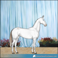 Horse Color:Buckskin Dun Splash Near Fewspot Rabicano 