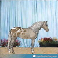 Horse Color:Silver Buckskin Dun Blanket Brindle 