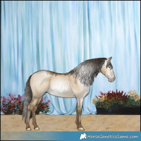 Horse Color:Gray Smoky Grullo Pearl 