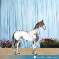 Horse Color:Brown Dun Sabino Snowcap 