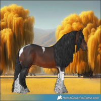 Horse Color:Brown Tobiano 