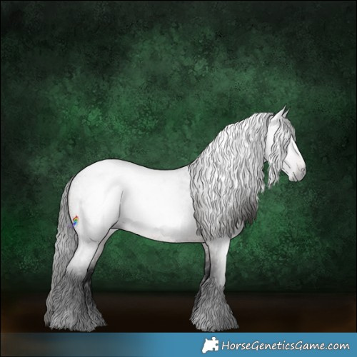 Horse Color:Gray Brown Roan 